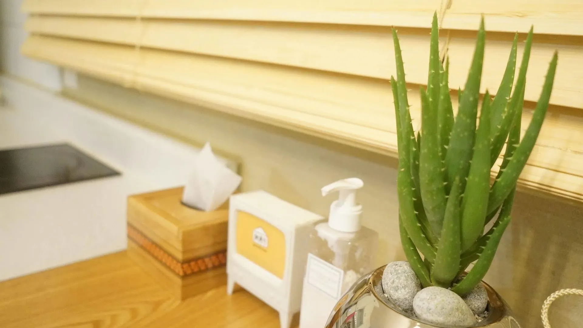 May Guesthouse Seoul Guest house